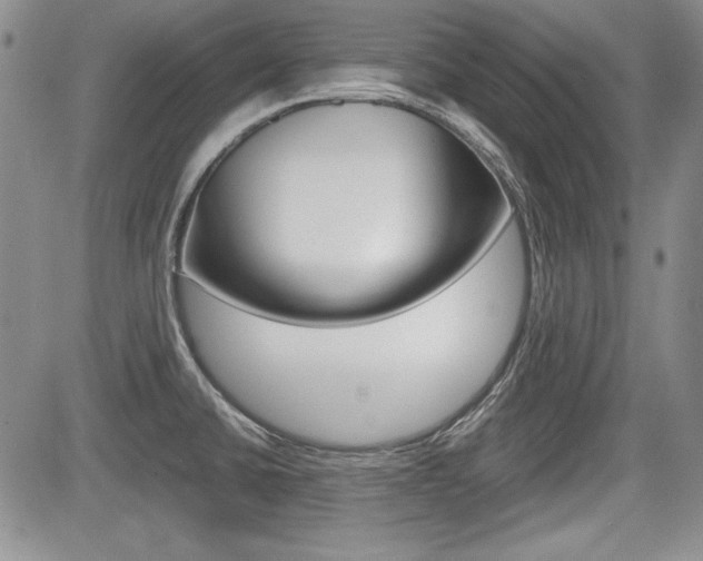 X0000085791430200703160922