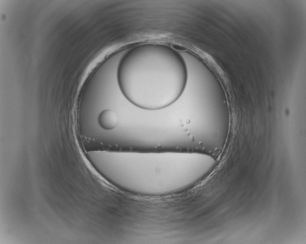 X0000085791432200703160922