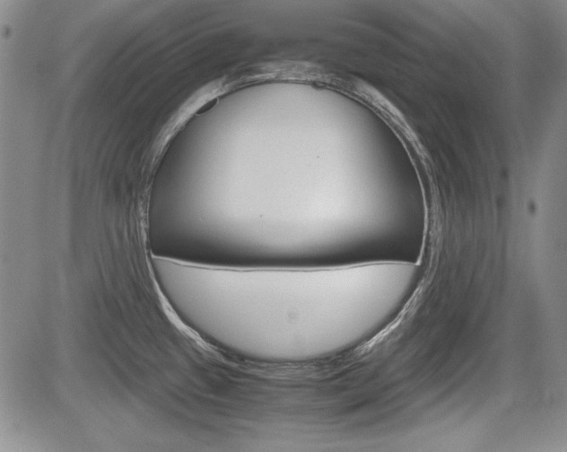 X0000085791433200703160922