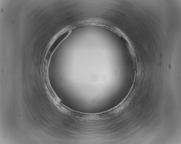 X0000085791434200703160922