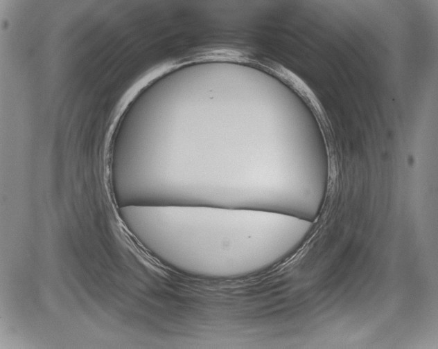 X0000085791435200703160922