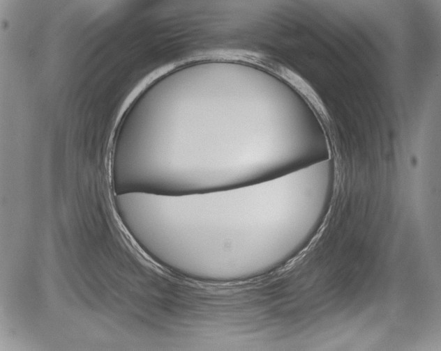 X0000085791436200703160922