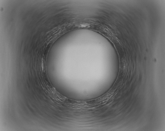 X0000085791442200703160921