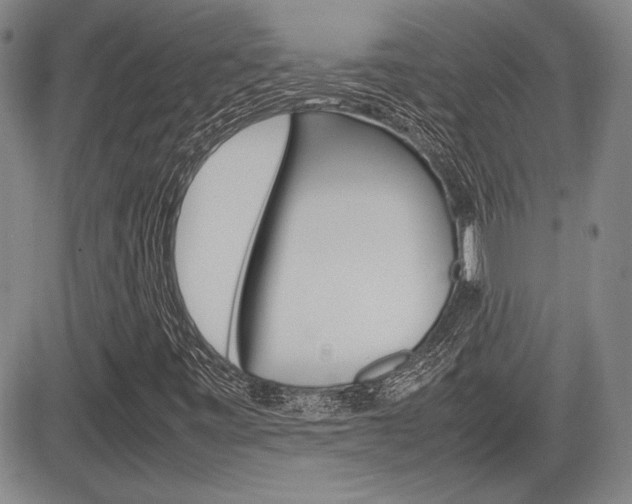 X0000085791443200703160921