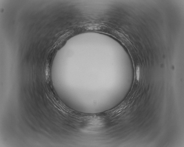 X0000085791444200703160921