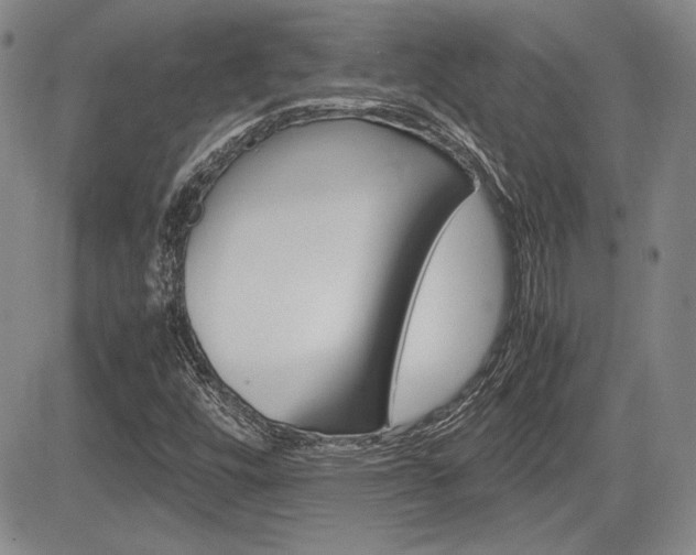 X0000085791448200703160921