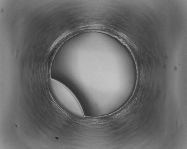 X0000085791450200703160921