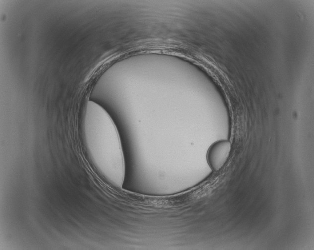 X0000085791451200703160921