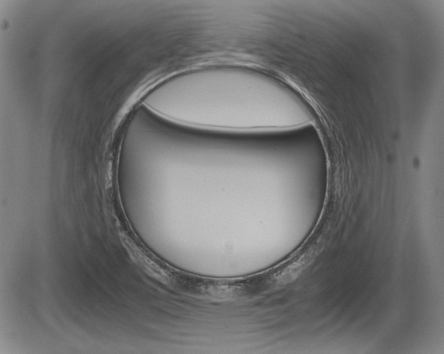 X0000085791459200703160921