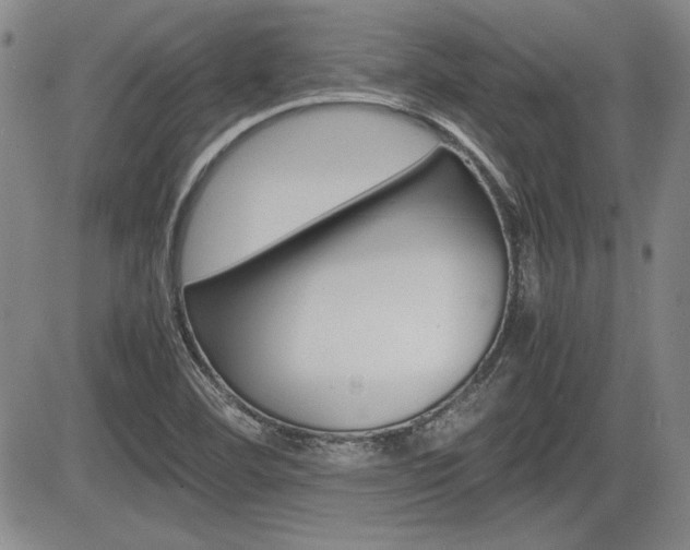 X0000085791460200703160921