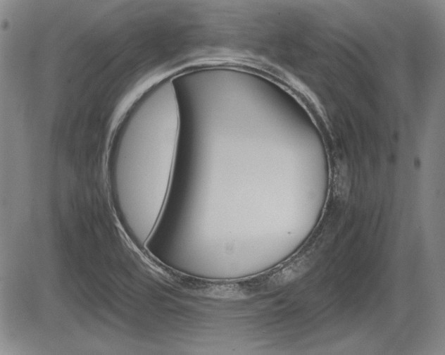 X0000085791464200703160921
