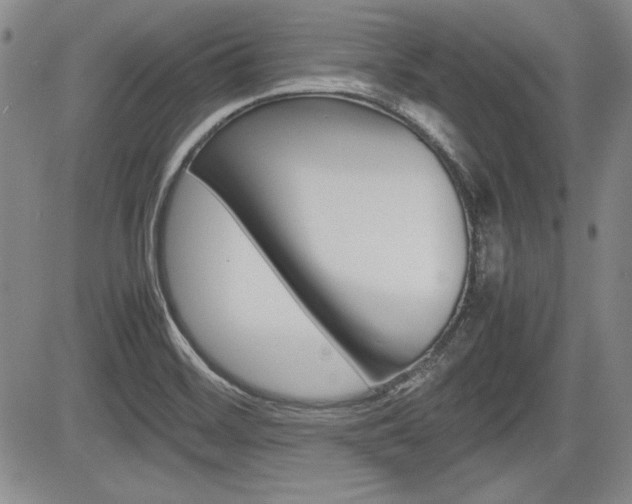 X0000085791468200703160921