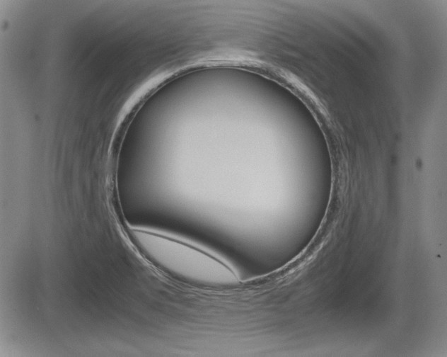 X0000085791469200703160921