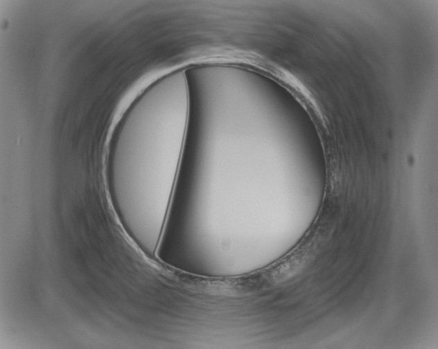 X0000085791472200703160921
