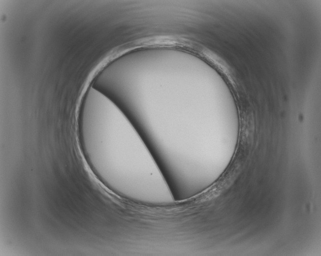 X0000085791475200703160921