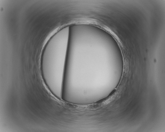 X0000085791477200703160921