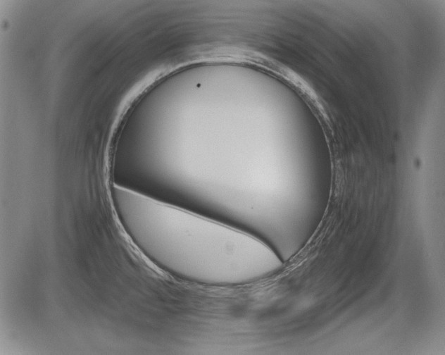 X0000085791480200703160921