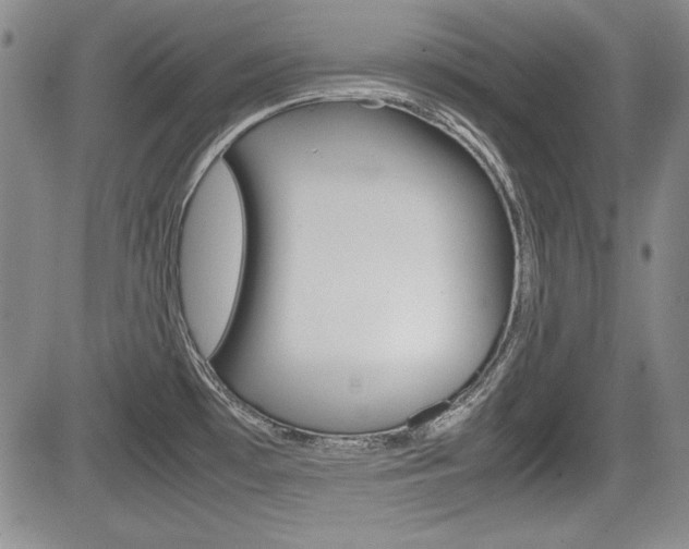 X0000085791481200703160921