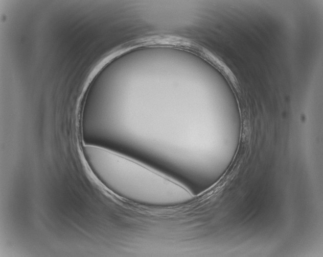 X0000085791483200703160921