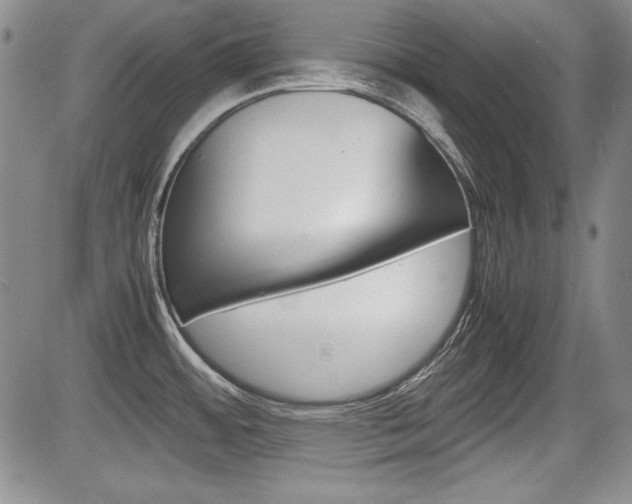 X0000085791484200703160921