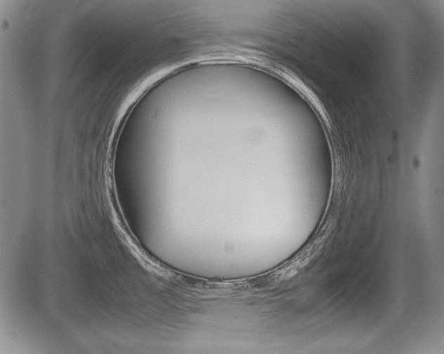 X0000085791485200703160921