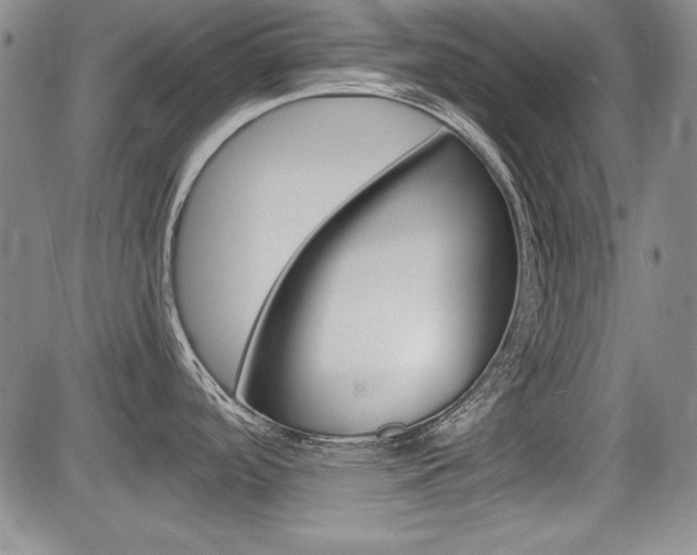 X0000085791488200703160921