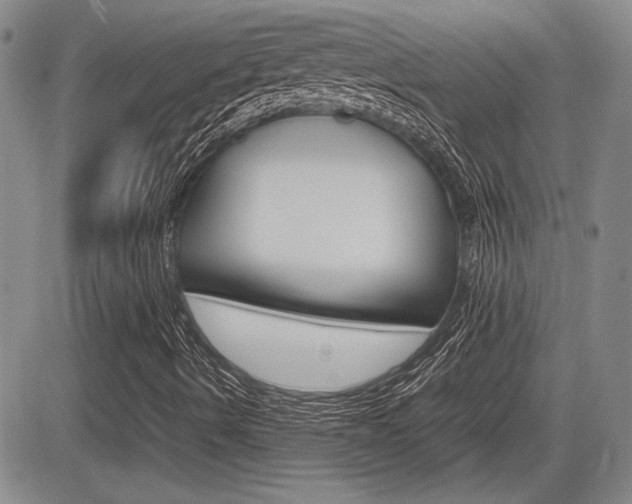 X0000085791490200703160920