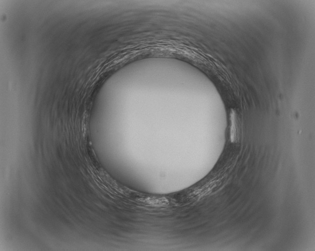 X0000085791491200703160920