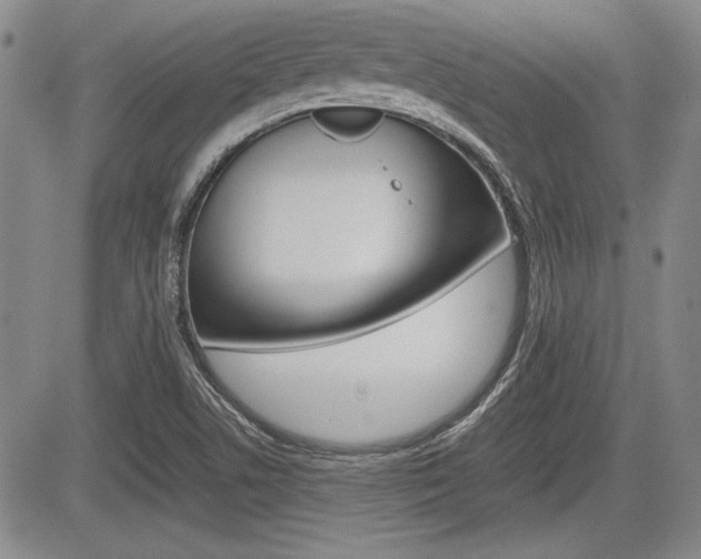 X0000085791506200703160920