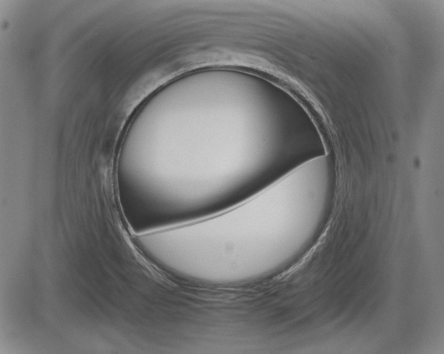 X0000085791513200703160920