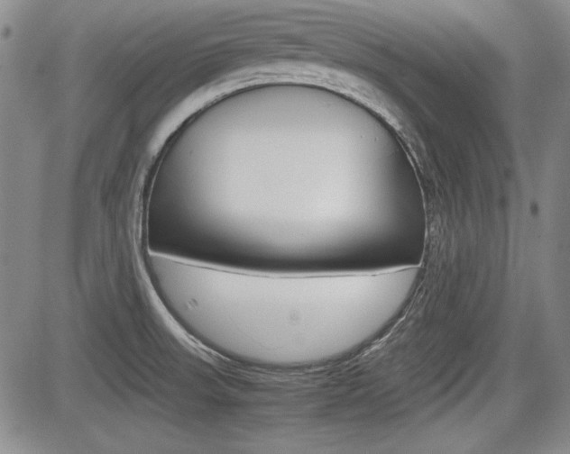 X0000085791523200703160920