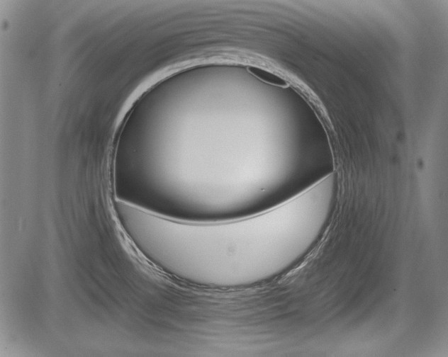 X0000085791530200703160921