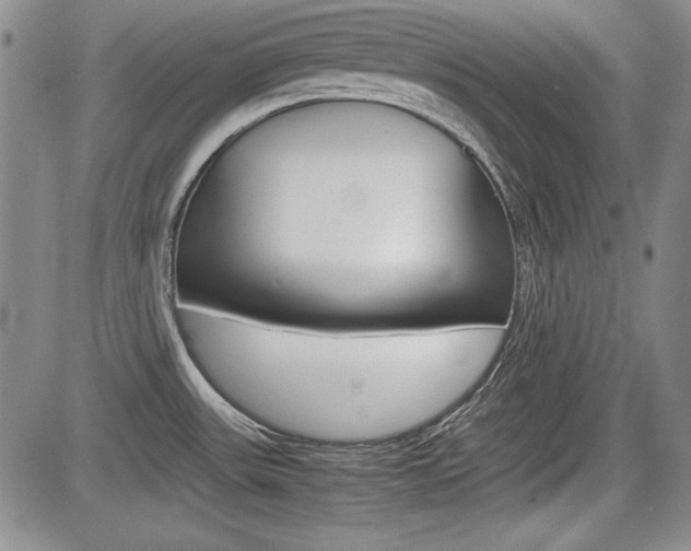 X0000085791531200703160921