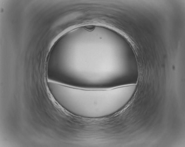 X0000085791534200703160921