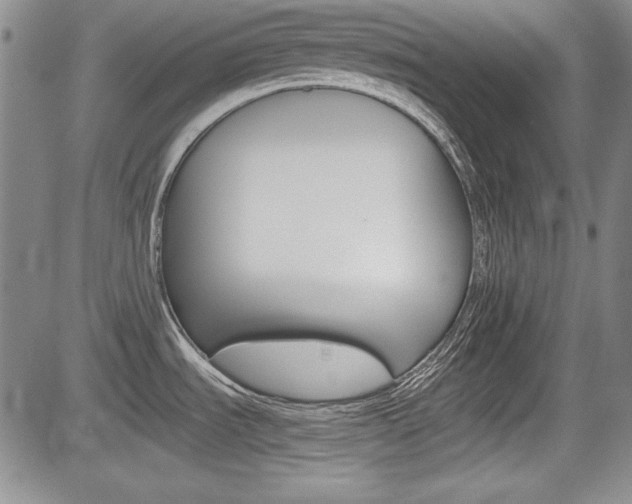 X0000085791535200703160921