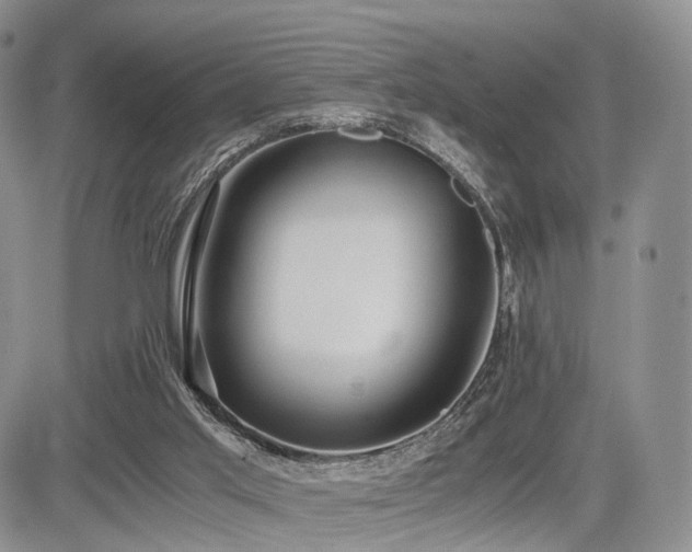 X0000085790013200703161136