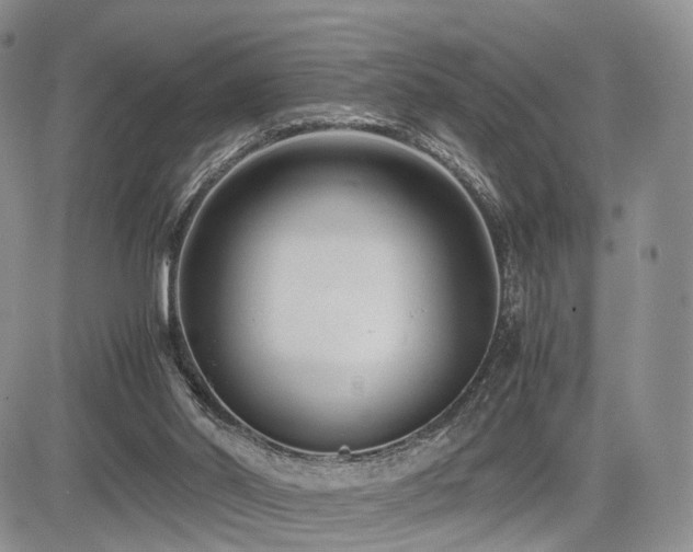 X0000085790014200703161136