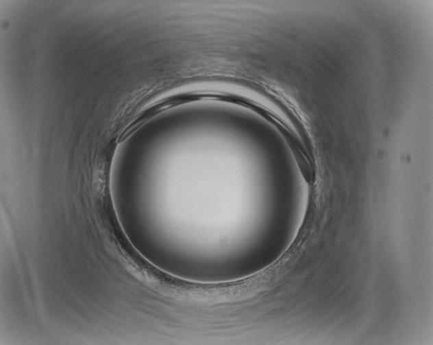 X0000085790017200703161136