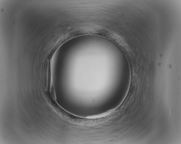 X0000085790021200703161136
