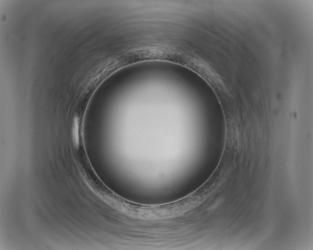 X0000085790022200703161136