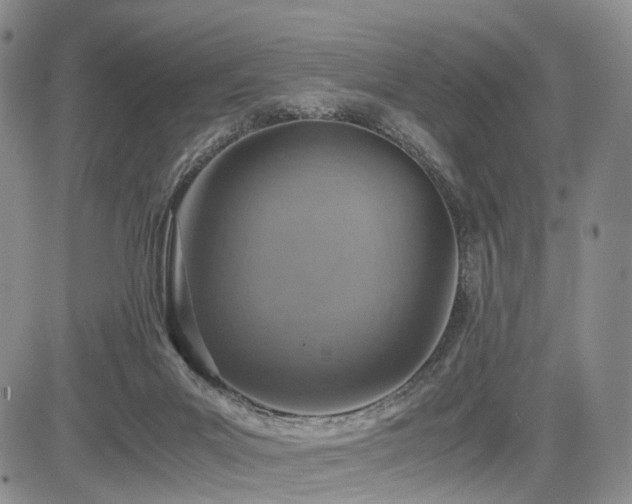 X0000085790023200703161136