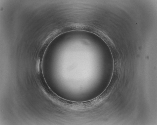 X0000085790024200703161136
