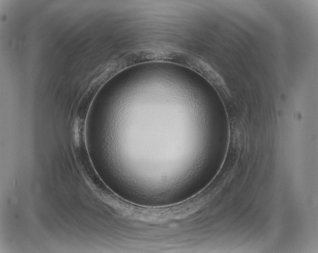 X0000085790026200703161135