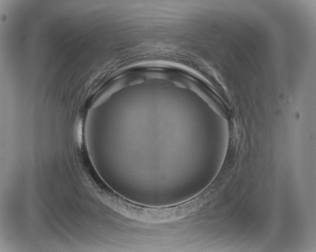 X0000085790027200703161135