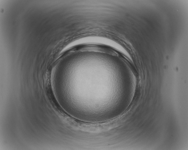 X0000085790029200703161135