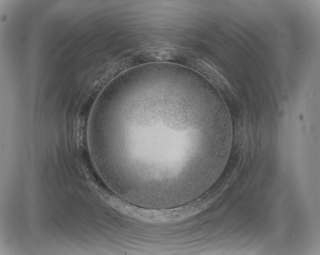 X0000085790030200703161135