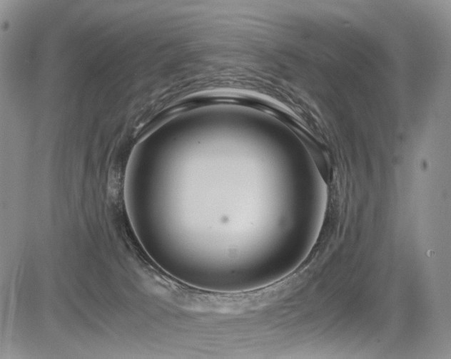 X0000085790033200703161135