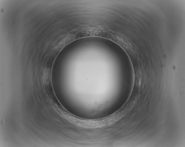 X0000085790034200703161135