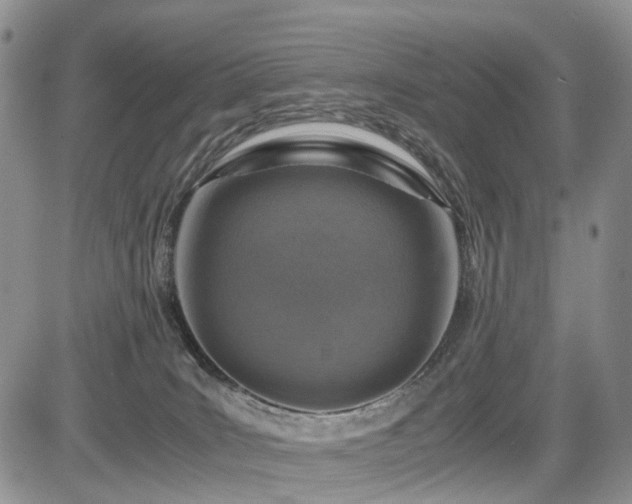 X0000085790035200703161135