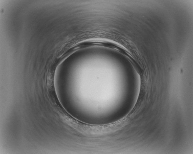 X0000085790037200703161135